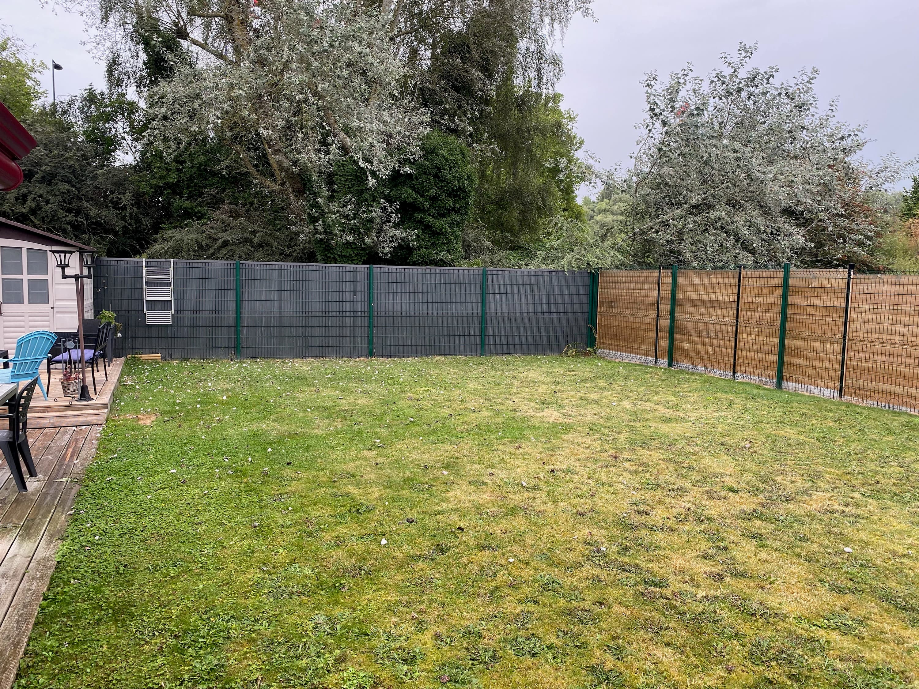 Pelouse fatiguée avant travaux