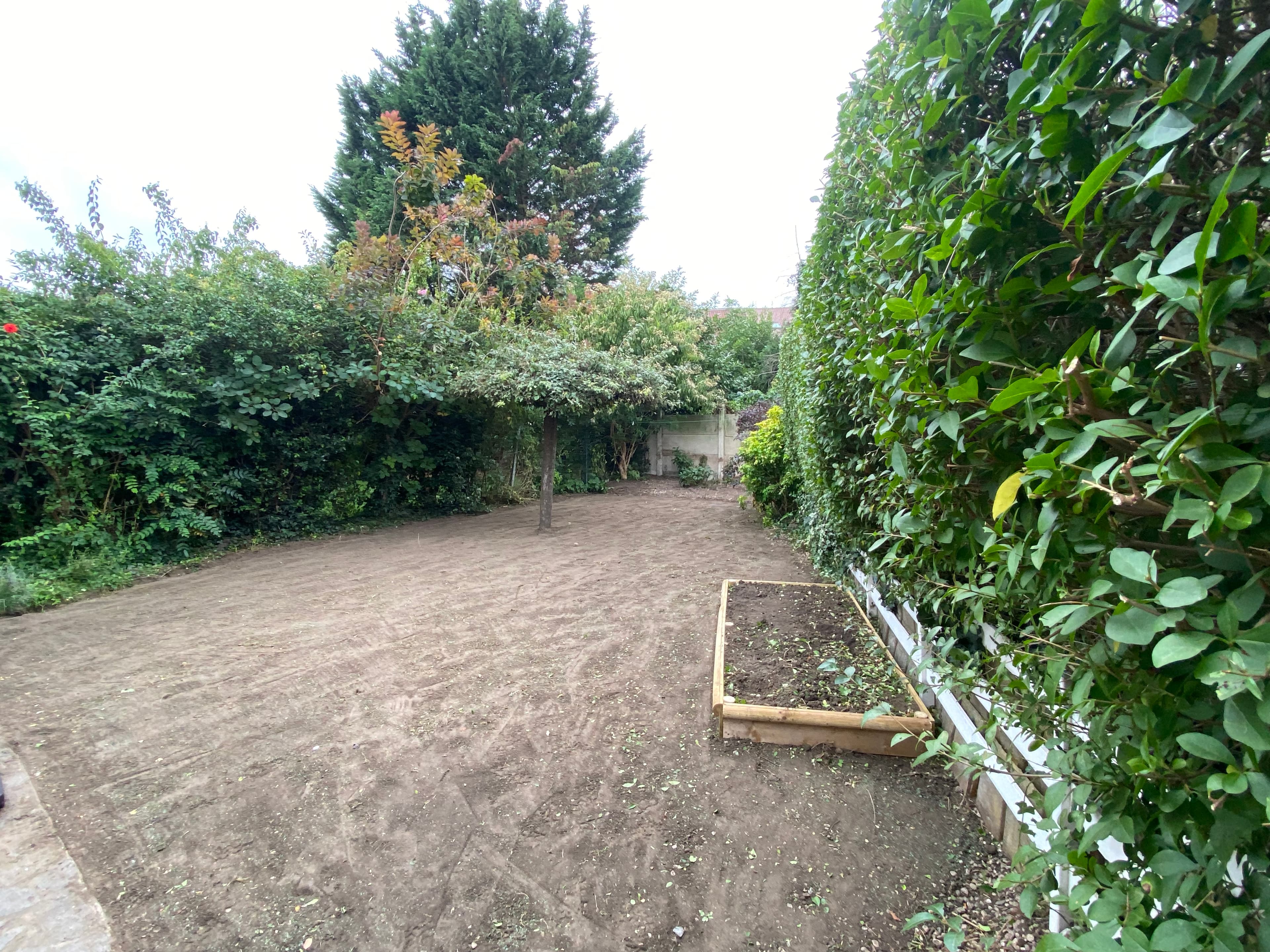 Jardin de ville après aménagement